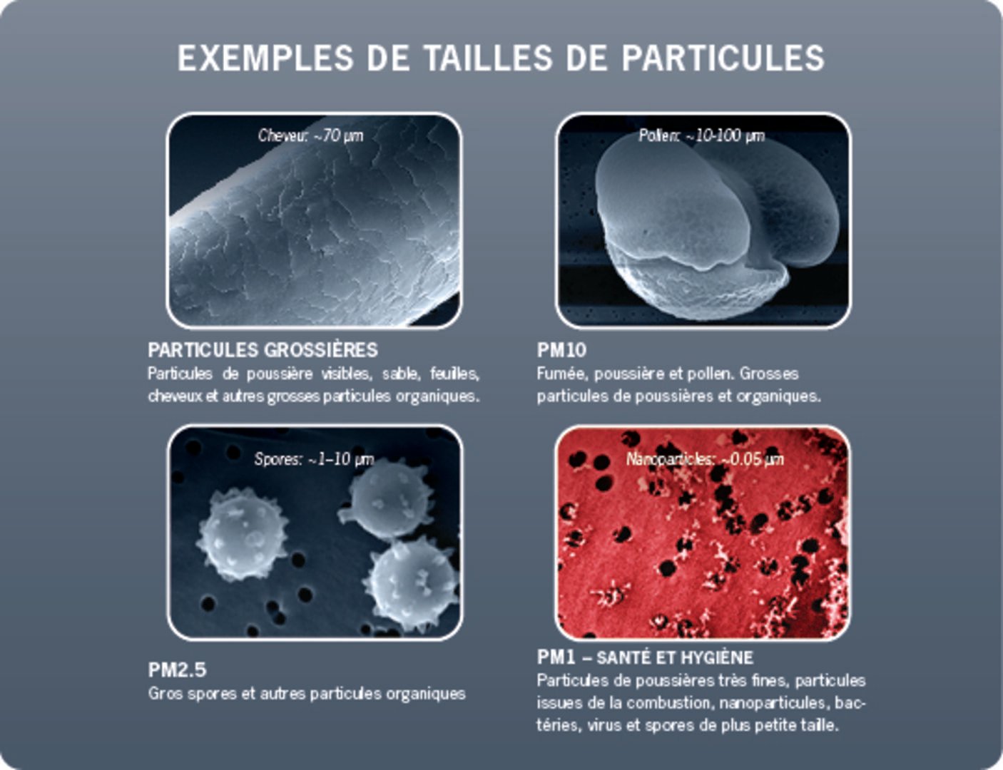 Particules fines