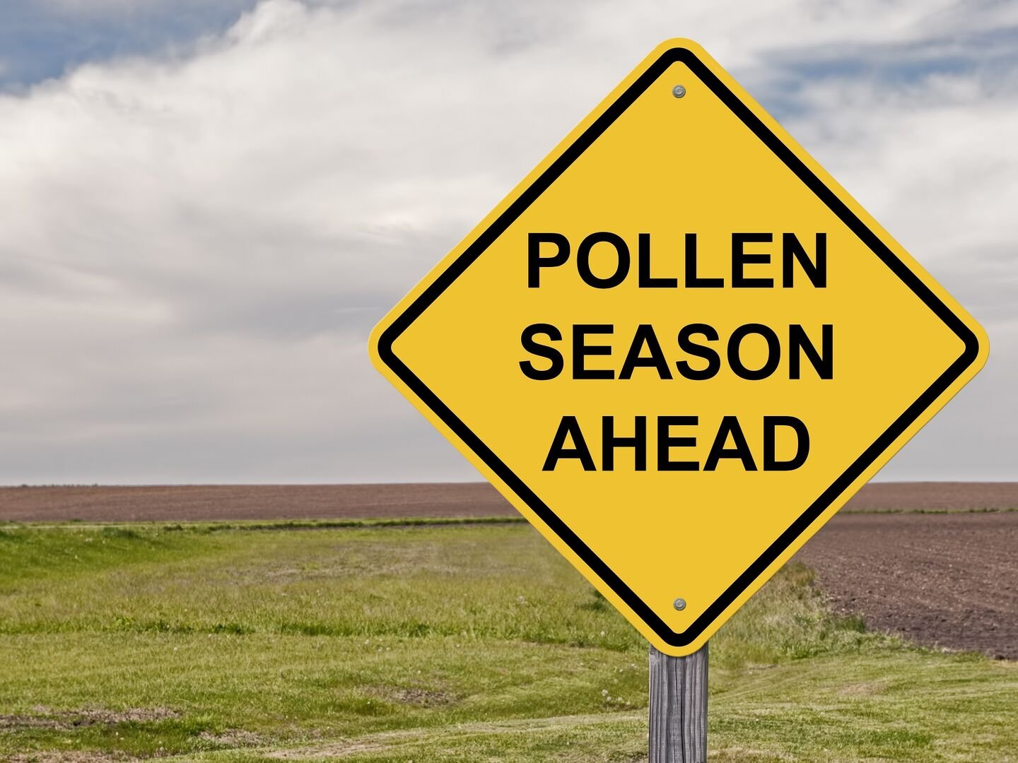 yellow warning sign pollen season ahead
