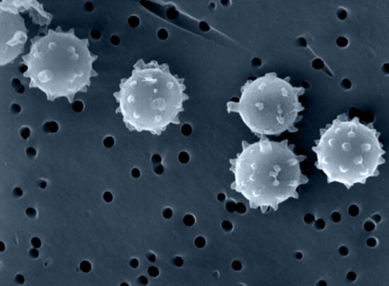 Particules PM2.5