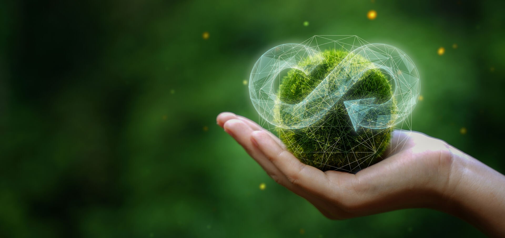 circular economy sustainability 