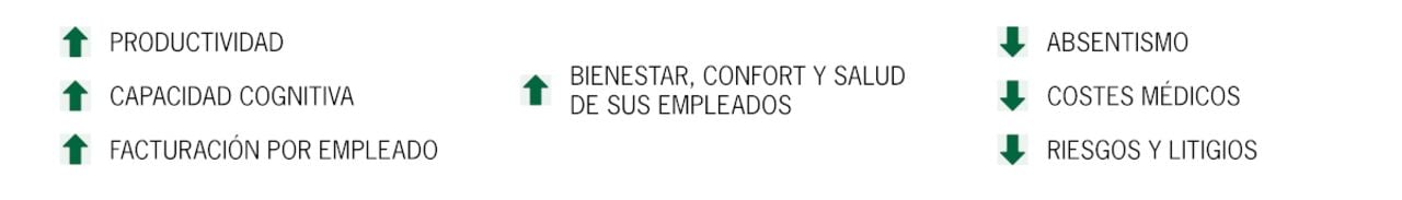 IAQ Flechas