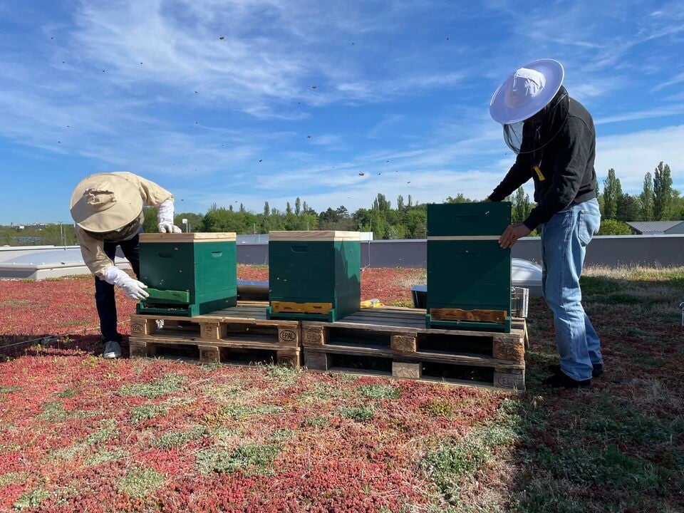 Two men standing next to beehives.