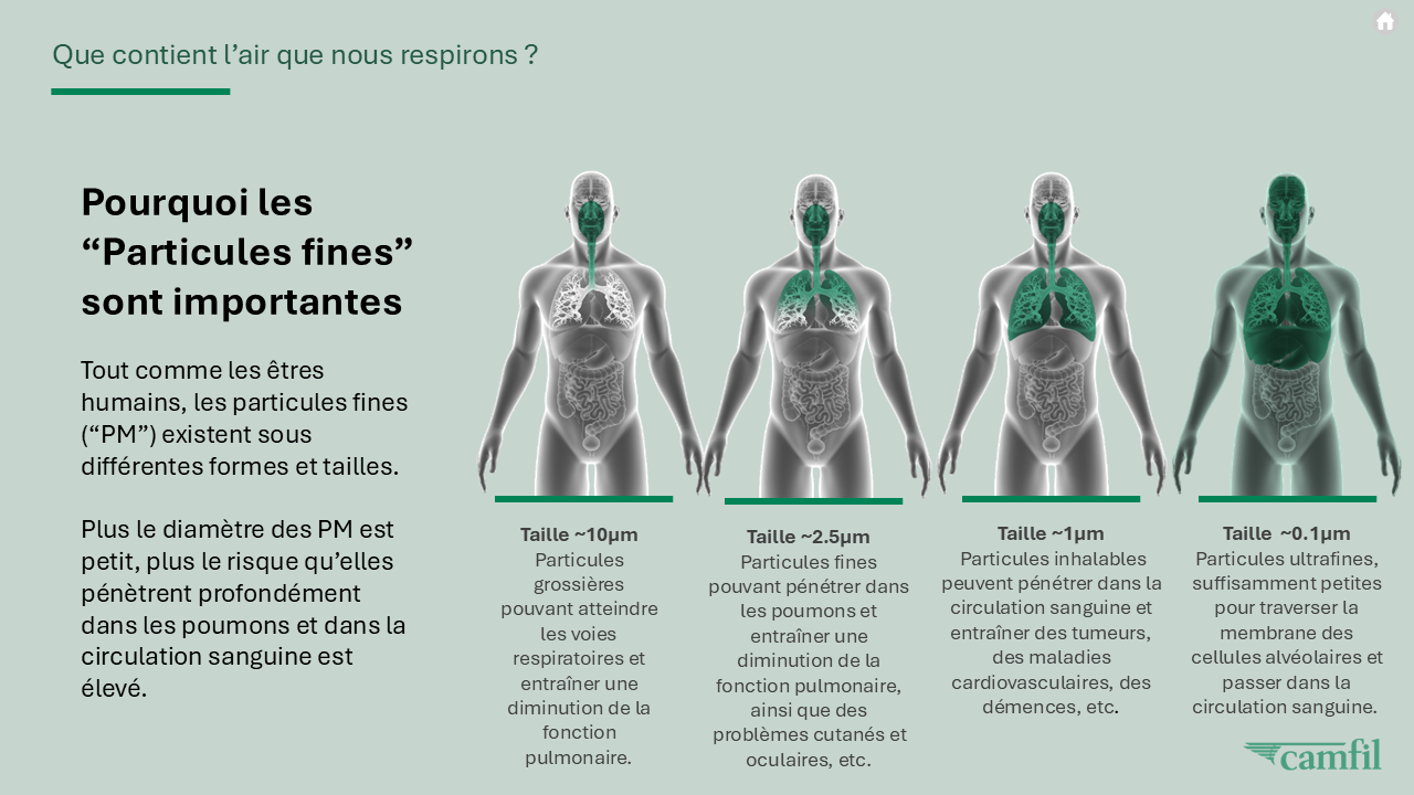 Pénétration des particules dans le corps humain en fonction de leur taille.