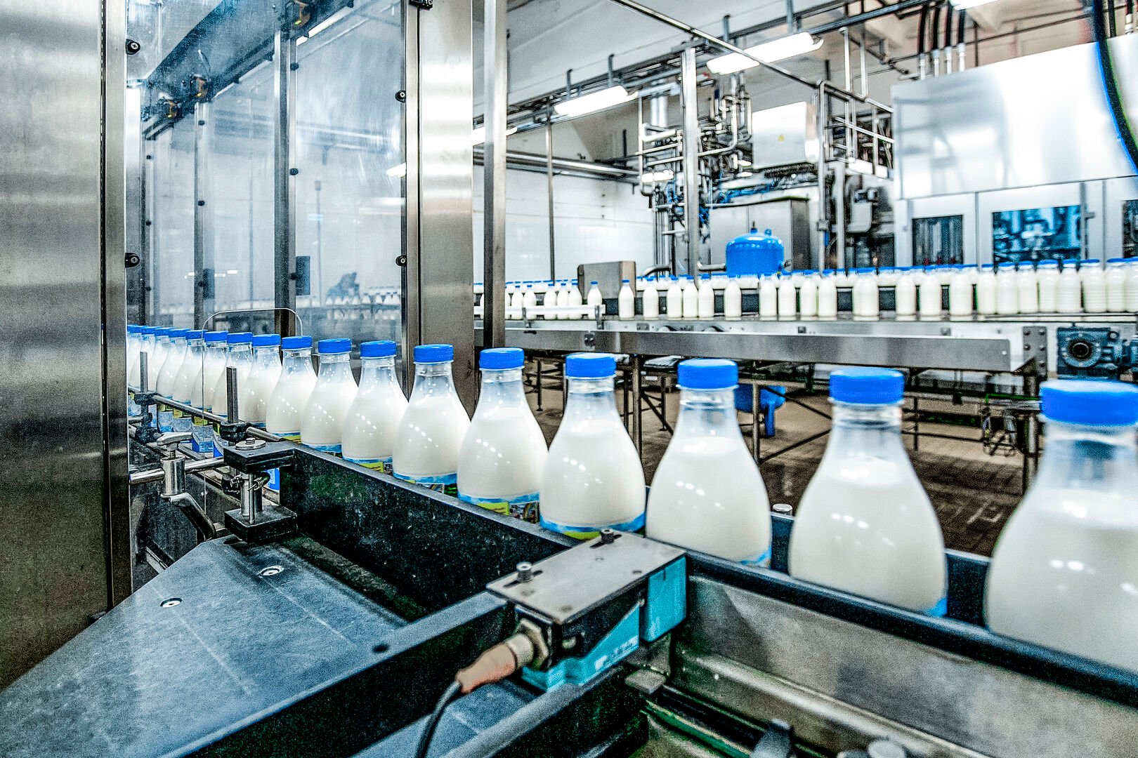 Dairy production factory